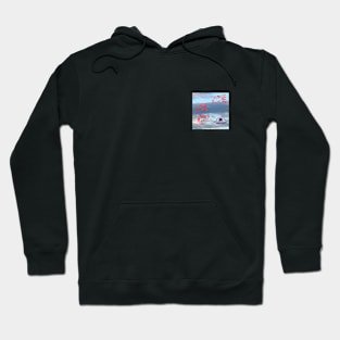 Birds and UFOs Hoodie